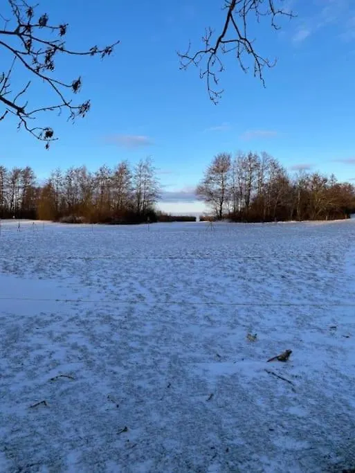 Lantgard Naera Stad, Fiske O Golf マルメ 0*,
